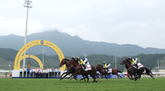 Six horses ridden by Hong Kong jockeys dash past the Winning Arch on the turf track.