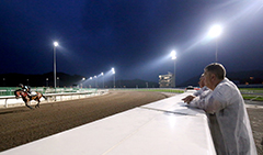 Director of Racing Business and Operations William A Nader observing a trackwork session.
