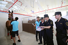 Upon disembarking from specially designed floats, all horses undergo strict security checks.