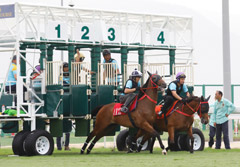 Horses participating in the Jump Out exercise at the turf track.