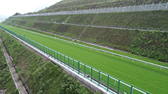 The 1,100m uphill gallop is the first of its kind for the Hong Kong horse population.