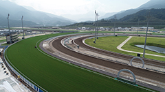 CRC has a turf track and two all-weather tracks.